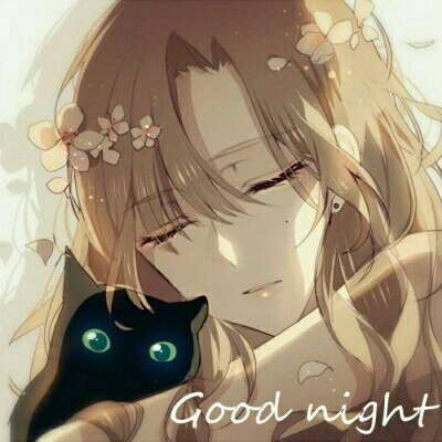 good night