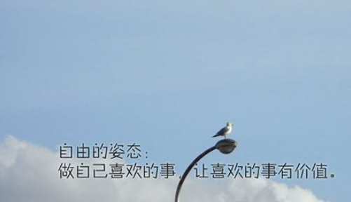 鼦¼