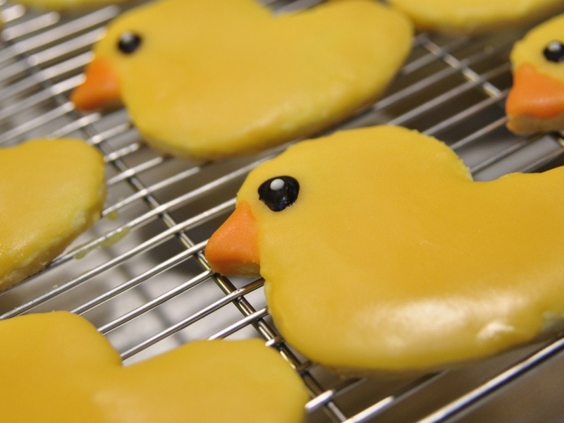 ɫСѼ | Yellow Duck Cookies