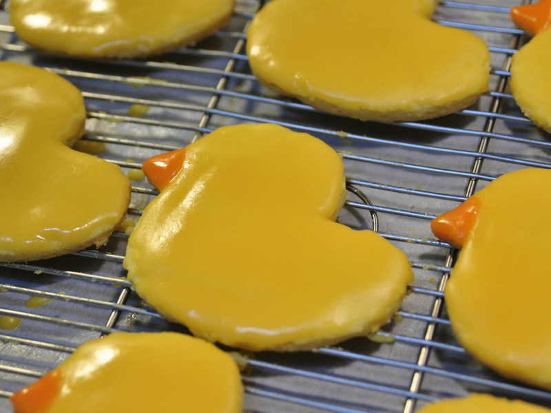 ɫСѼ | Yellow Duck Cookies