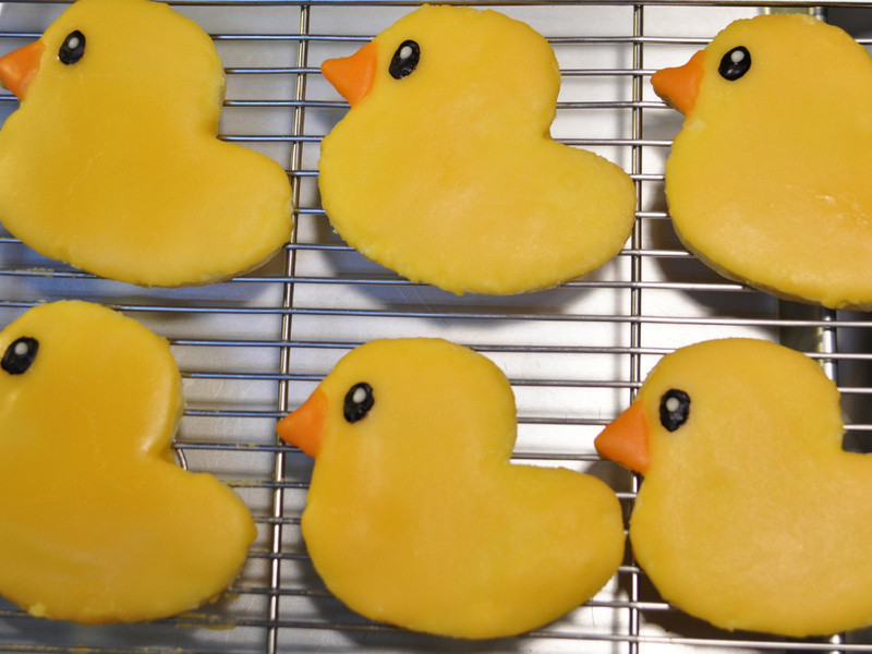 ɫСѼ | Yellow Duck Cookies