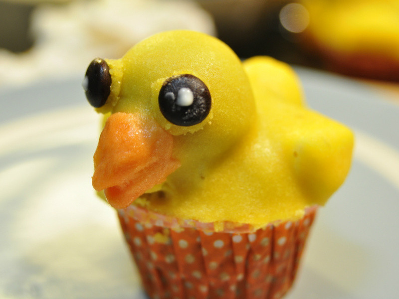 ɫСѼ | Yellow Duck Cookies