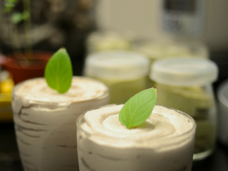 ̲ɿĽ˿ Green tea mousse