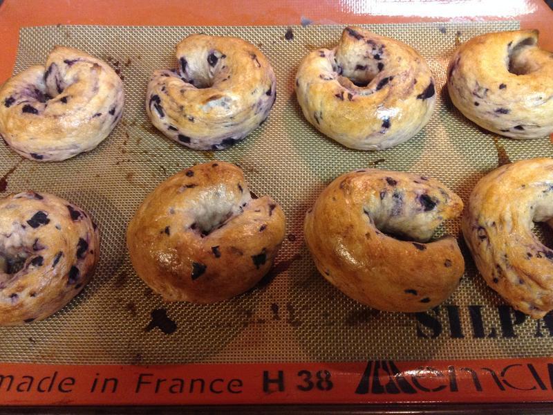 Blueberry Bagel-ݮ