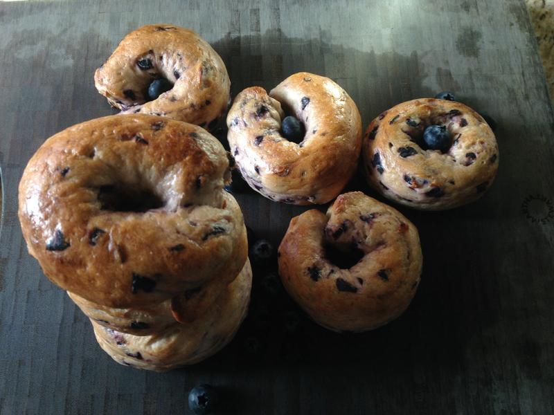 Blueberry Bagel-ݮ