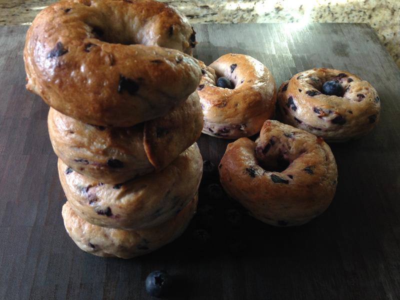 Blueberry Bagel-ݮ