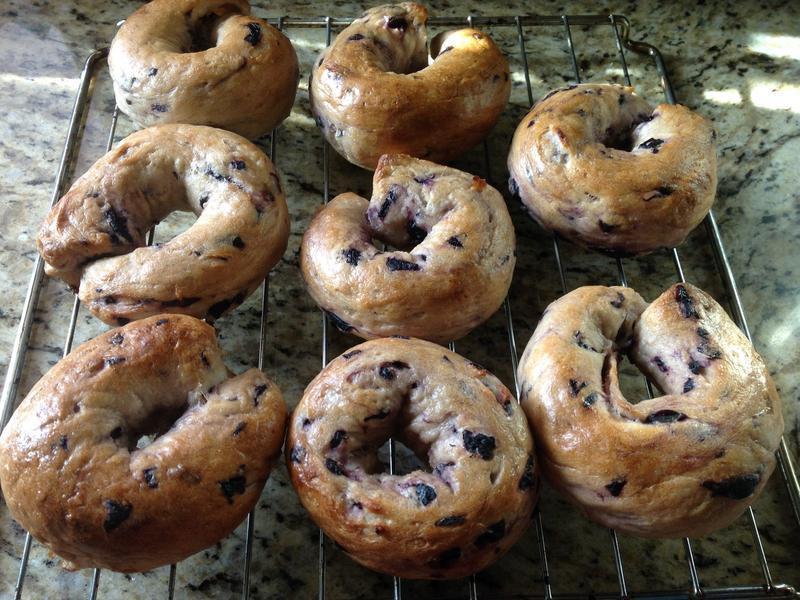 Blueberry Bagel-ݮ