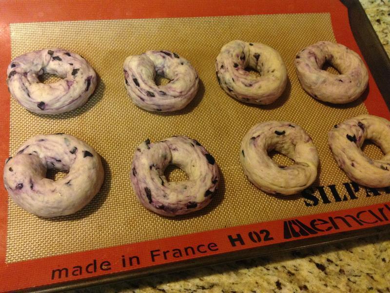 Blueberry Bagel-ݮ