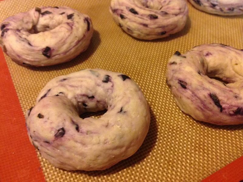 Blueberry Bagel-ݮ