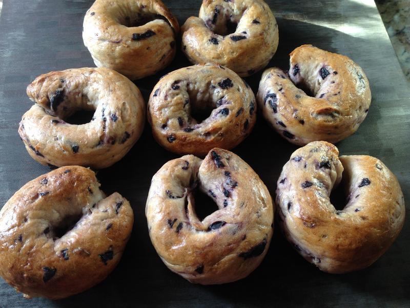 Blueberry Bagel-ݮ