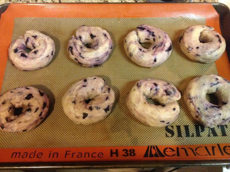 Blueberry Bagel-ݮ