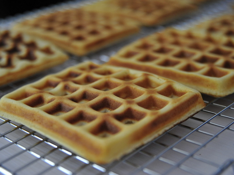 Qʽɱ | America Waffle