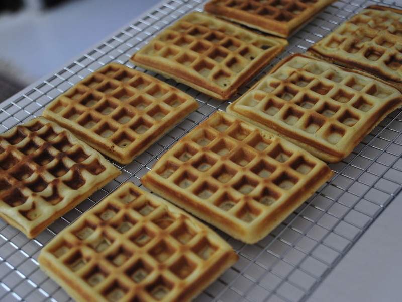 Qʽɱ | America Waffle