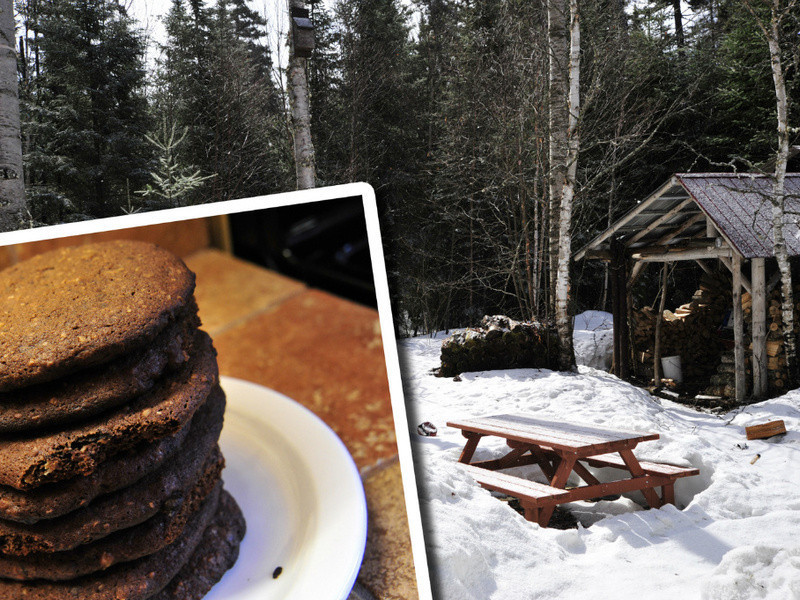 ɿ | Chocolate Oat Soft Cookies