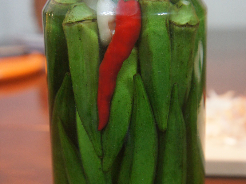 ݲ(fermented okra)