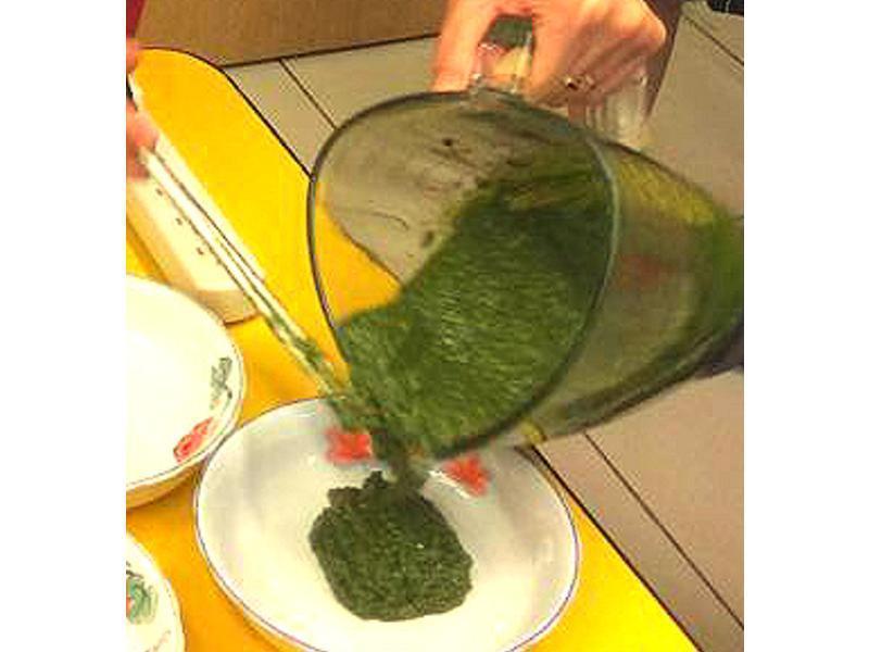 ʽᶹུ Pesto