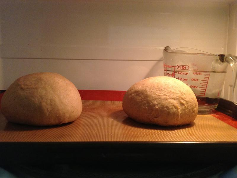 Wheat Bread-