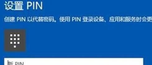 Win10PIN룬PINʹ