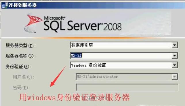 SQL Serversaûܵ¼