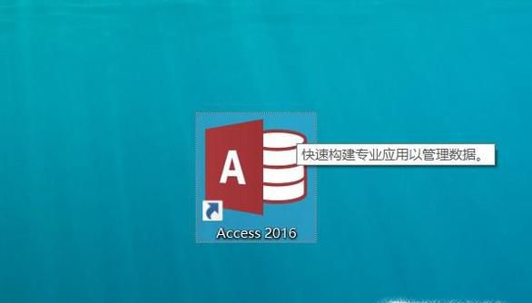 Access 2007ť