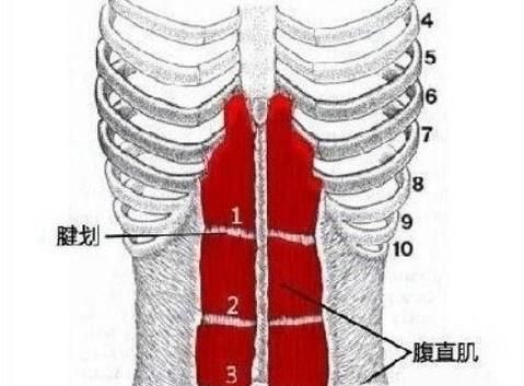 Ϊʲôе鸹е˰˿鸹أ