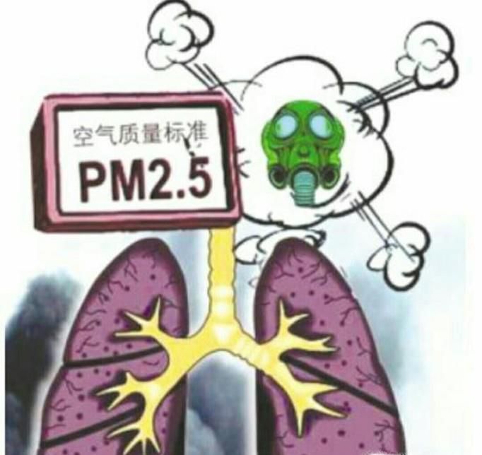 PM2.5ô