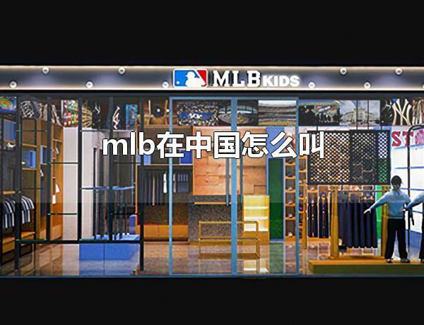 mlbйô mlbйҲΪmib