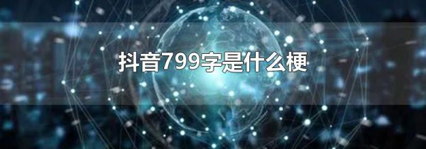 799ʲô