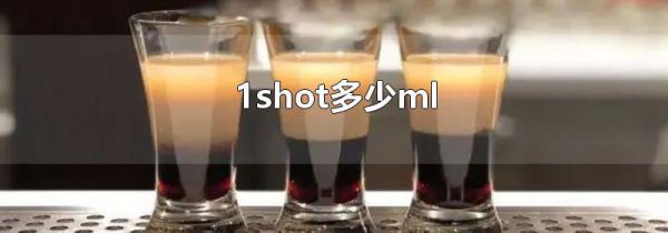 1shotml