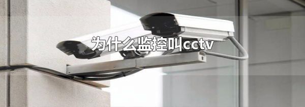 Ϊʲôؽcctv