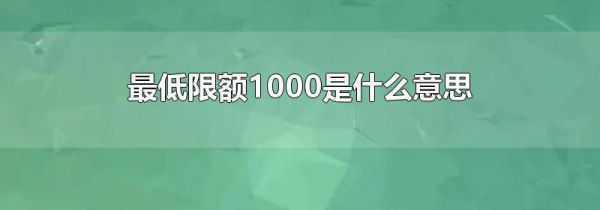 ޶1000ʲô˼