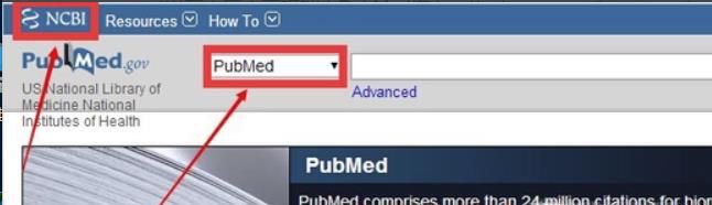 ʹPubMed